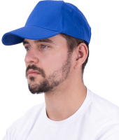 БЕЙСБОЛКА (ВАСИЛЬКОВЫЙ)