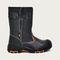 т